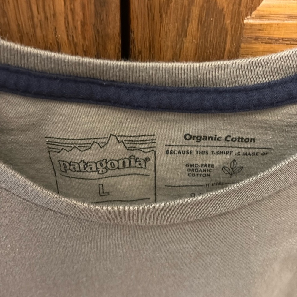 Patagonia Men's olive color Short Sleeve Tee